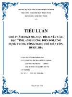 CHẾ PHẨM ENZYME, mục ĐÍCH, yêu cầu, đặc TÍNH, ẢNH HƯỞNG BIẾN đổi, ỨNG DỤNG TRONG CÔNG NGHỆ CHẾ BIẾN cồn, rượu, BIA 