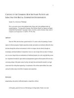 CARVING UP THE COMMONS HOW SOFTWARE PATENTS ARE IMPACTING OUR DIGITAL COMPOSITION ENVIRONMENTS