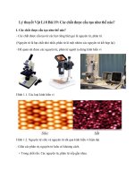 ly thuyet cac chat duoc cau tao nhu the nao moi 2022 35 cau trac nghiem hay chi tiet vat li 8 