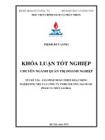 Chuyên ngành quản trị doanh nghiệp giải pháp hoàn thiện hoạt động marketing mix tại công ty tnhh thương mại dược phẩm và tbyt global 