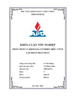 Chuyên ngành đầu tư phân tích và định giá cổ phiếu hpg  ctcp tập đoàn hoà phát 