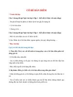 soan bai co be ban diem hay nhat ket noi tri thuc 