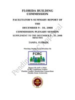 FLORIDA BUILDING COMMISSION FACILITATOR’S SUMMARY REPORT OF THE DECEMBER 9 - 10, 2008 COMMISSION PLENARY SESSION SUPPLEMENT TO THE DECEMBER 9 - 10, 2008 MINUTES TAMPA, FLORIDA