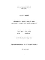 Quy định của pháp luật quốc tế về phòng ngừa ô nhiễm biển do rác thải nhựa (luận văn thạc sỹ luật) 