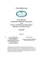 FINAL REPORT AFFORDABLE HOUSING STRATEGIES AND SURVEY OF EMPLOYEES REGARDING HOUSING AND EMPLOYMENT