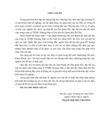 (Luận văn đại học thương mại) giải pháp marketing mix nhằm phát triển thị trƣờng của công ty cổ phần đầu tƣ mở   du lịch việt nam 