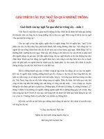 giai thich cau tuc ngu an qua nho ke trong cay hay nhat 11 mau 