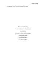 Psych Paper template2