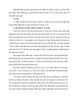Phân tích điều kiện đảm bảo ổn định về chính trị, kinh tế, xã hội nhằm đẩy mạnh CNH, hđh gắn với phát triển kinh tế tri thức ở VN, liên hệ thực tiễn VN trong thời gian qua