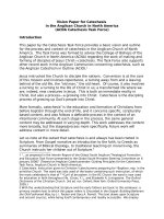 Vision Paper for Catechesis in the Anglican Church in North America (ACNA Catechesis Task Force)