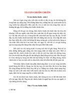 top 11 bai ta con chuon chuon 2022 hay nhat 