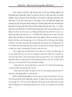 tiểu luận  môn luật thương mại việt nam 