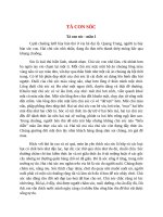 top 4 bai ta con soc 2022 hay nhat 