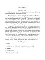 top 11 bai ta cay hoa ly 2022 hay nhat 