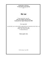 Sự cần thiết của việc hình thành và phát triển một số tập đoàn kinh tế nhà nước trong nền kinh tế thị trường định hướng xã hội chủ nghĩa ở việt nam hi 