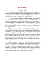 top 15 bai ta cay xa cu 2022 hay nhat 