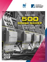 Top VPE500 web