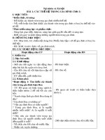 Giáo án Tự nhiên xã hội lớp 2 sách Kết nối tri thức (Học kỳ 1)