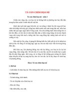 top 12 bai ta con chim hoa mi 2022 hay nhat 