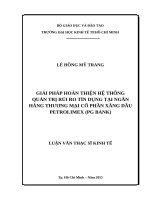 nâng cao hệ thống quản trị rủi ro tín dụng tại ngân hàng thương mại cổ phần xăng dầu petrolimex (PG bank) 