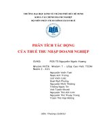 Tiểu luận phân tích tác động của thuế đầu vào đối với hoạt động xuất nhập khẩu 