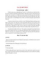 top 15 bai ta cay but may 2022 hay nhat 