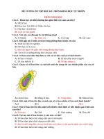 ĐỀ CƯƠNG ÔN TẬP CUỐI HKI MÔN KHTN6 CTST