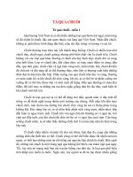 top 5 bai ta qua chuoi 2022 hay nhat 