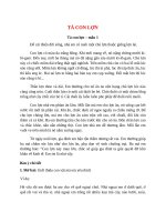 top 15 bai ta con lon 2022 hay nhat 