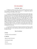 top 9 bai ta cai lo hoa 2022 hay nhat 