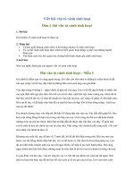 top 11 bai viet bai van ta canh sinh hoat 2022 hay nhat 