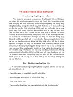 top 12 bai ta chiec trong dong dong son hay nhat 