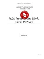 Tiểu luận m a trends in the world and in vietnam 