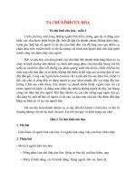 top 4 bai ta chu linh cuu hoa 2022 hay nhat 