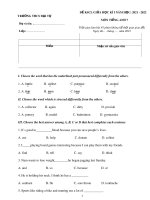 Đề thi giữa học kì 1 môn Tiếng Anh lớp 7 năm 2021-2022 - Trường THCS Đại Tự