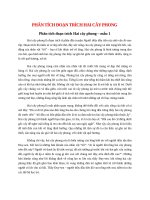 top 13 bai phan tich doan trich hai cay phong 2022 hay nhat 