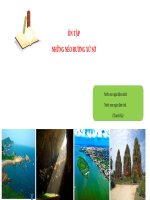 P dạy THÊM bài 5 kết nối 