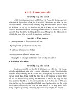 top 6 bai ke ve le hoi choi trau wavdx 