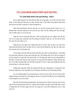 top 9 bai ta canh binh minh tren que huong 2022 hay nhat 