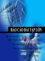 slide nghiên cứu về ứng dụng thương mại điện tử trong mua bán trực tuyến   môn thương mại điện tử 