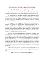 top 13 bai ta canh mat troi moc tren que huong 2022 hay nhat 