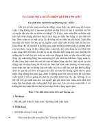 top 11 bai ta canh mua xuan tren que huong em hay nhat 