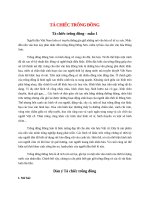 top 12 bai ta chiec trong dong 2022 hay nhat 