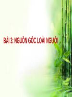 Bài giảng Lịch sử 6 bài 3: Nguồn gốc loài người