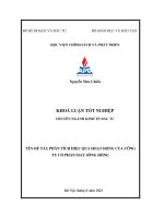 Phân tích hiệu quả hoạt động của công ty cổ phần may sông hồng 