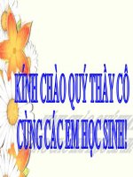 Bài giảng Toán 6 bài 20: Chu vi và diện tích của một số tứ giác đã học