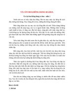 top 15 bai ta cay hoa hong dang ra hoa hay nhat 