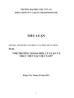 Thị trường ngoại hối, lý luận và thực tiễn tại việt nam   môn học thị trường tài chính và các định chế tài chính 