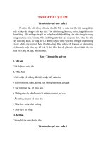 top 15 bai ta mua thu que em hay nhat 