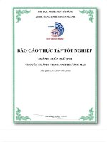 Báo cáo thực tập tốt nghiệp ngành ngôn ngữ anh chuyên ngành tiếng anh thương mại công ty TNHH MTV danang expats 